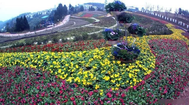 2018年南充举办第二届凌云山大庙会!(图12) 2018年南充举办第二届凌云山大庙会!(图12)