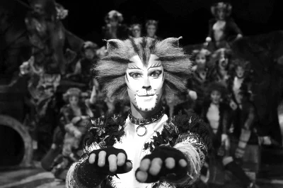 音乐剧“猫”未演先热巡演预售票房破亿元 (图6) 音乐剧“猫”未演先热巡演预售票房破亿元 (图6)