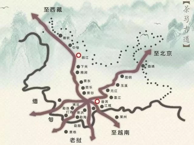 这个四川人,让川茶征服了联合国(图6) 这个四川人,让川茶征服了联合国(图6)