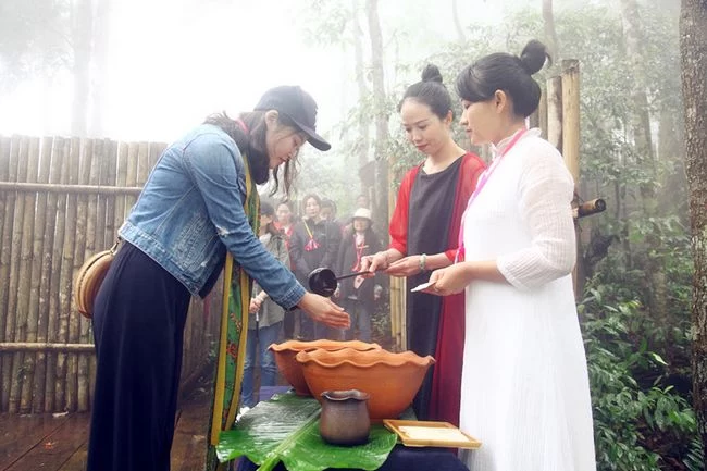 拨开古树普洱茶的迷雾 古韵流香茶山游学侧记(图13) 拨开古树普洱茶的迷雾 古韵流香茶山游学侧记(图13)