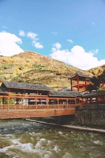 阿坝州的果果红了,你想吃汶川车厘子还是汶川甜樱桃?(图5) 阿坝州的果果红了,你想吃汶川车厘子还是汶川甜樱桃?(图5)