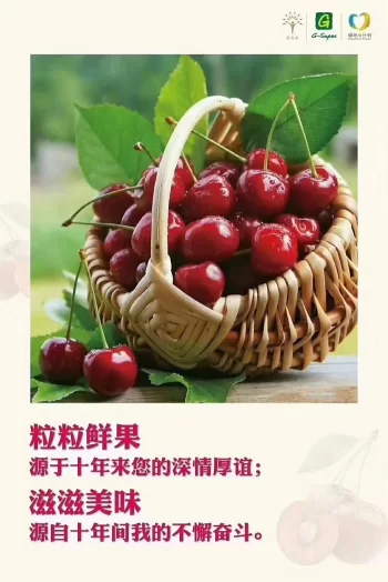 阿坝州的果果红了,你想吃汶川车厘子还是汶川甜樱桃?(图16) 阿坝州的果果红了,你想吃汶川车厘子还是汶川甜樱桃?(图16)