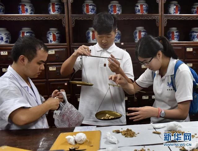 港澳台中医药发展知多少(图3)