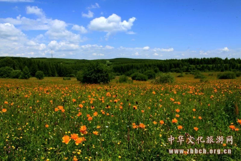 旅游季节 木兰围场强化使命担当 突出生态保护(图1) 旅游季节 木兰围场强化使命担当 突出生态保护(图1)