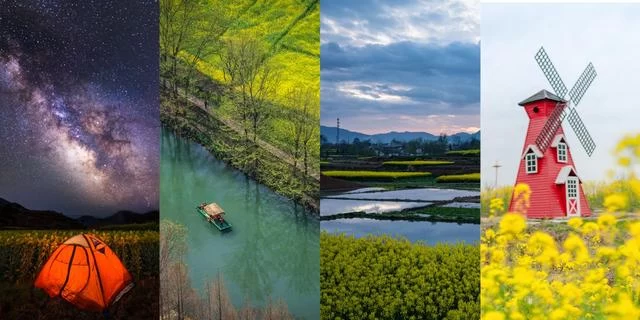 汉中市文化和旅游局"花与视界"线上美学艺术馆开展(图5) 汉中市文化和旅游局"花与视界"线上美学艺术馆开展(图5)