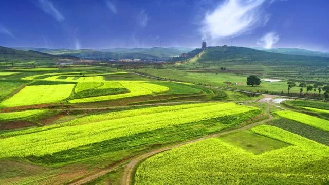 塞上绿洲 美丽朔州——一座演绎传奇,彰显绿色的城市(图21) 塞上绿洲 美丽朔州——一座演绎传奇,彰显绿色的城市(图21)