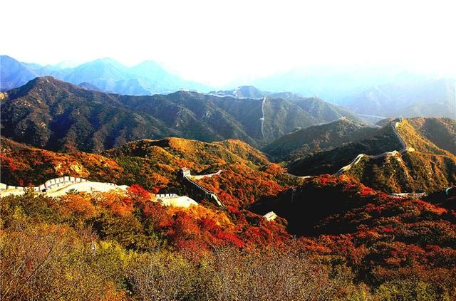 八达岭长城:雄关巍峨尽沧桑 红叶妆点更灿烂(图1) 八达岭长城:雄关巍峨尽沧桑 红叶妆点更灿烂(图1)