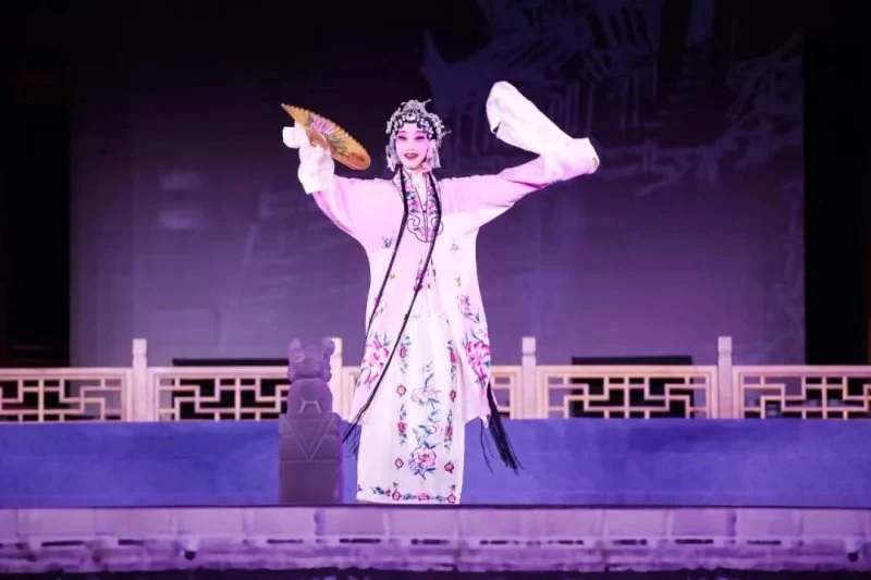 “婺风遗韵·水墨金华”非遗一台戏书就文旅华章(图6)