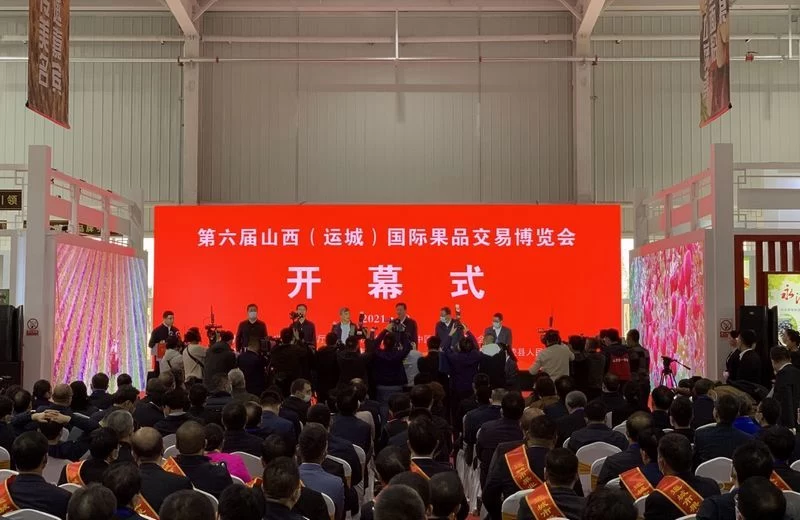 第六届山西(运城)国际果品交易博览会盛大开启