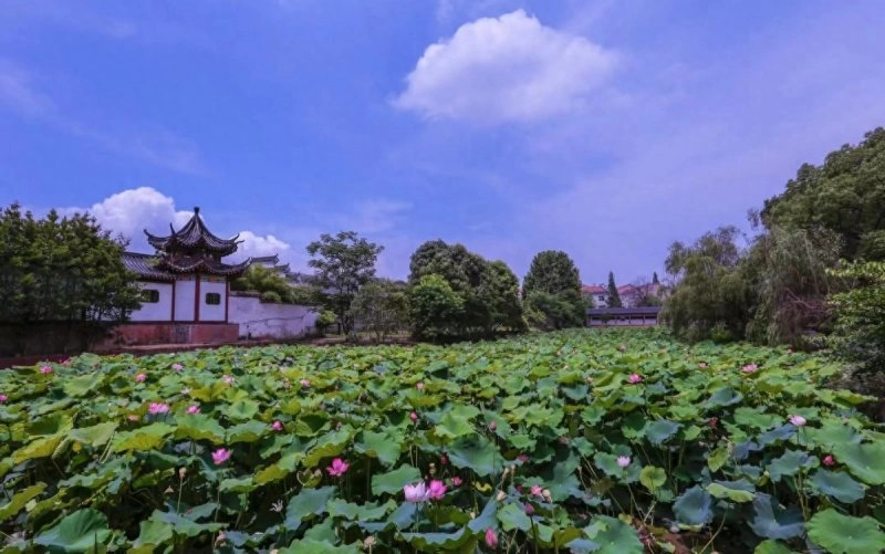 赤壁矶头的沉思(图3) 赤壁矶头的沉思(图3)