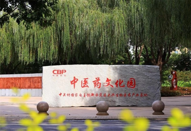 首届中医药发展论坛暨国医名师走进中国药谷系列活动举办(图8) 首届中医药发展论坛暨国医名师走进中国药谷系列活动举办(图8)