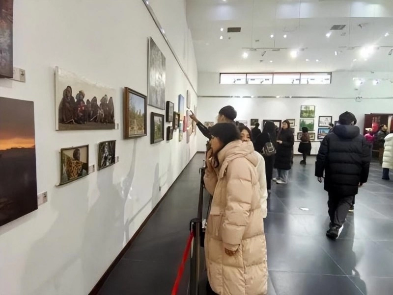 “汇画之约”——首届全国青年油画作品邀请展开幕(图10) “汇画之约”——首届全国青年油画作品邀请展开幕(图10)