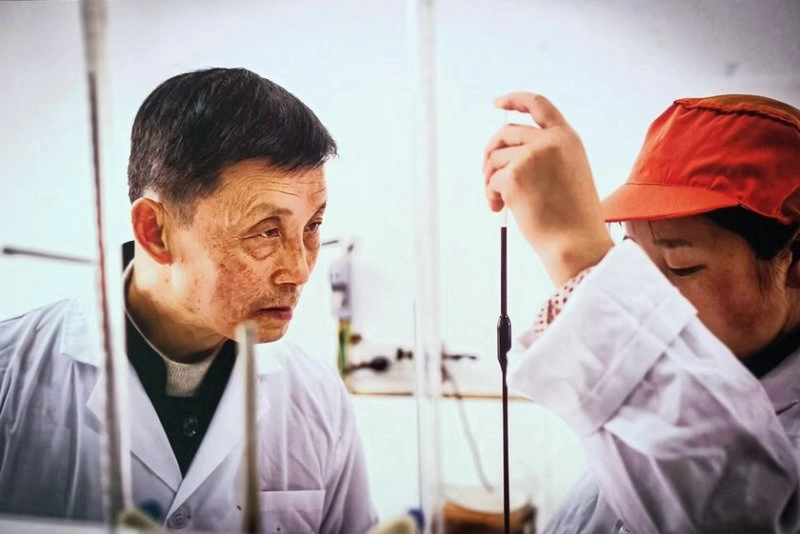 中国传统工艺酿造酱油的优势解析(图5) 中国传统工艺酿造酱油的优势解析(图5)
