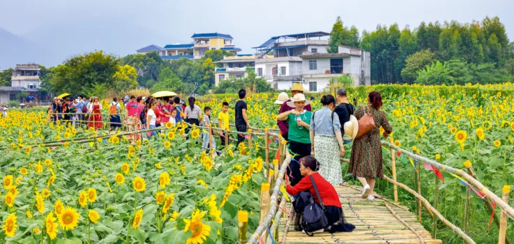 天下来宾，来者上宾【铸牢中华民族共同体意识 创建全国民族团结进步示范市来宾纪实】(图3)