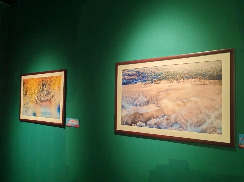 “大美伊春·魅力丰林”冬季风光摄影作品展首次走进春城昆明(图4)