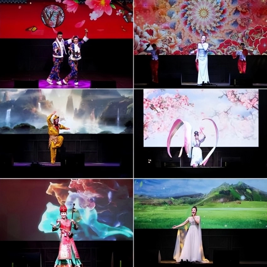 2025年欢乐春节演出活动在匈牙利卡辛茨巴茨卡市举办(图4)
