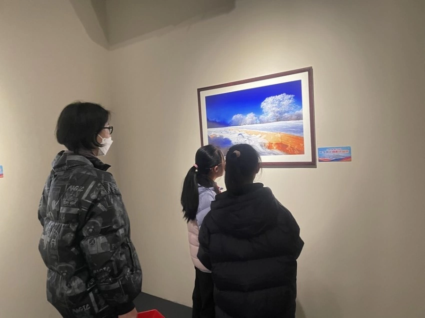 “大美伊春、魅力丰林”冬季风光摄影作品系列展：光影艺术展现魅力丰林时代风采(图4)