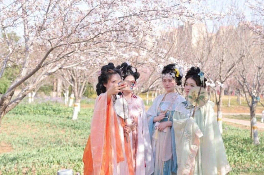 鹤壁樱花季必打卡景点推荐，错过就要再等一年！(图1)