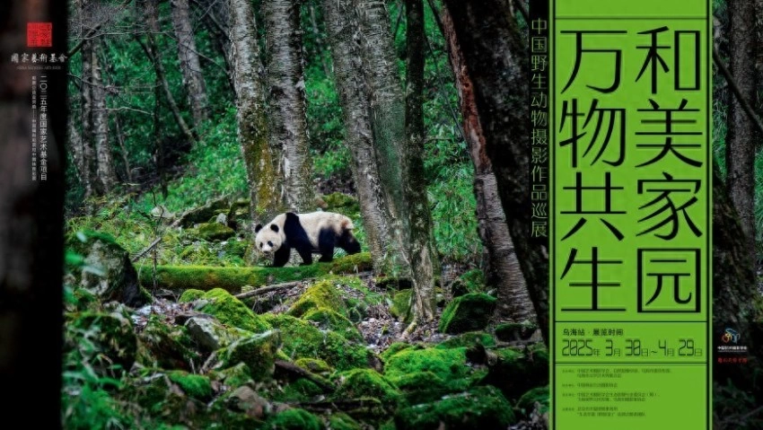 万物共生 和美家园——中国野生动物摄影作品巡展在乌海启幕(图1)
