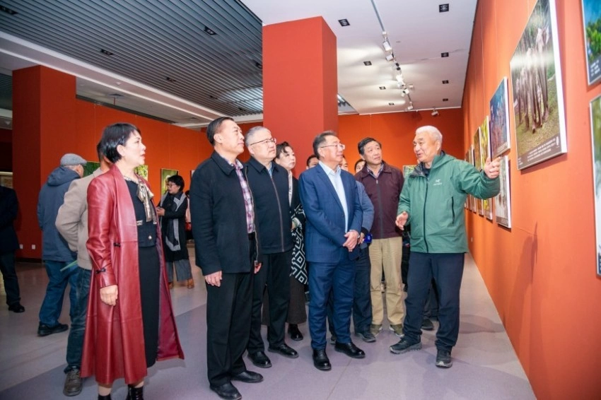 万物共生 和美家园——中国野生动物摄影作品巡展在乌海启幕(图5)
