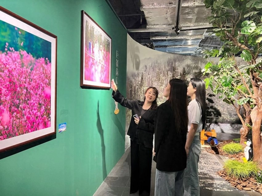 展示丰林四季旅游资源，“大美伊春·魅力丰林”四季风光摄影作品展上海站开幕(图1)