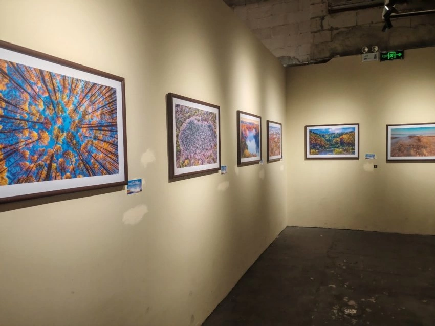 展示丰林四季旅游资源，“大美伊春·魅力丰林”四季风光摄影作品展上海站开幕(图4)
