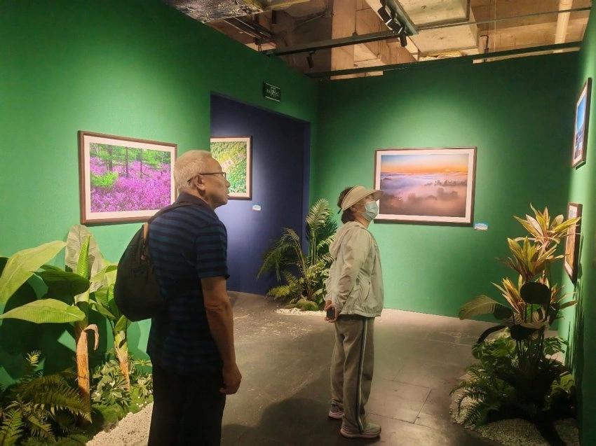 展示丰林四季旅游资源，“大美伊春·魅力丰林”四季风光摄影作品展上海站开幕(图3)
