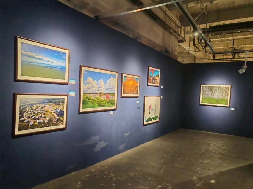 影像为笔，绘就文旅新篇——“大美伊春˙魅力丰林”四季风光摄影作品展三城巡展圆满落幕(图4)