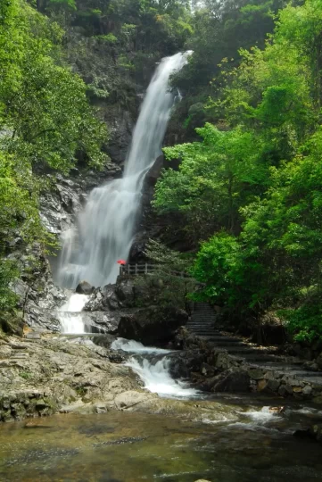 广西贺州姑婆山旅游度假区：走出一条绿色发展的“蝶变”之路(图4)