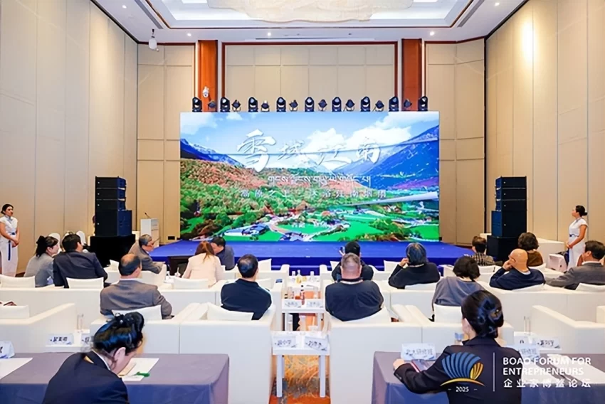2025博鳌文化经济发展论坛在海南博鳌举办(图13)