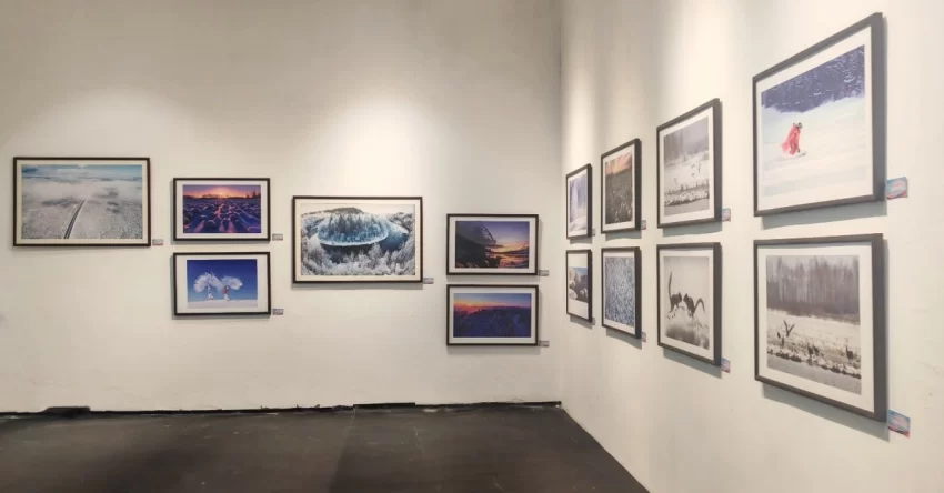 林海雪韵映山城 南北文旅谱新篇——“大美伊春·魅力丰林”冬季风光摄影作品展重庆启幕(图3)