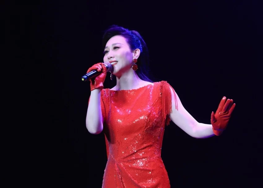 “亲情中华·四海同春”慰侨演出首站亮相惠灵顿，金响等中国艺术家倾情献演(图4)