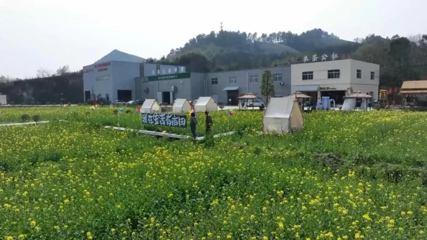 新华视点|春日盛景赋能“花经济” 文旅融合焕发新活力(图3) 新华视点|春日盛景赋能“花经济” 文旅融合焕发新活力(图3)
