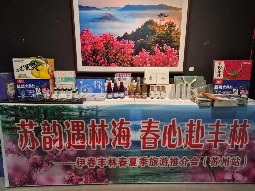 苏韵遇林海 春心赴丰林——伊春丰林春夏季旅游推介会在苏州成功举办(图6)