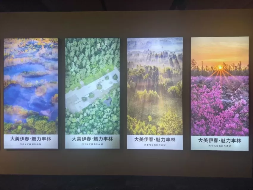 “大美伊春·魅力丰林”四季风光摄影展合肥站启幕(图2)