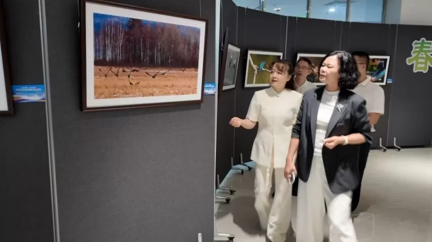 “大美伊春・魅力丰林”摄影展在广东茂名电白拉开帷幕(图4)