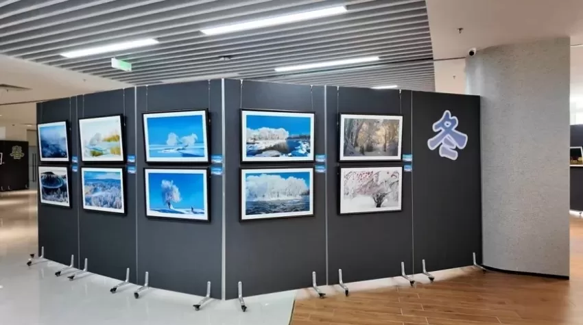 “大美伊春・魅力丰林”摄影展在广东茂名电白拉开帷幕(图5)