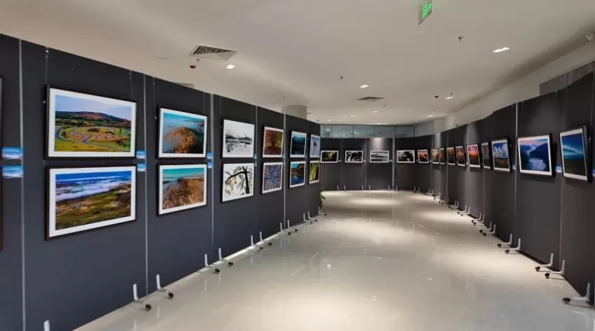 “大美伊春・魅力丰林”摄影展在广东茂名电白拉开帷幕(图7)