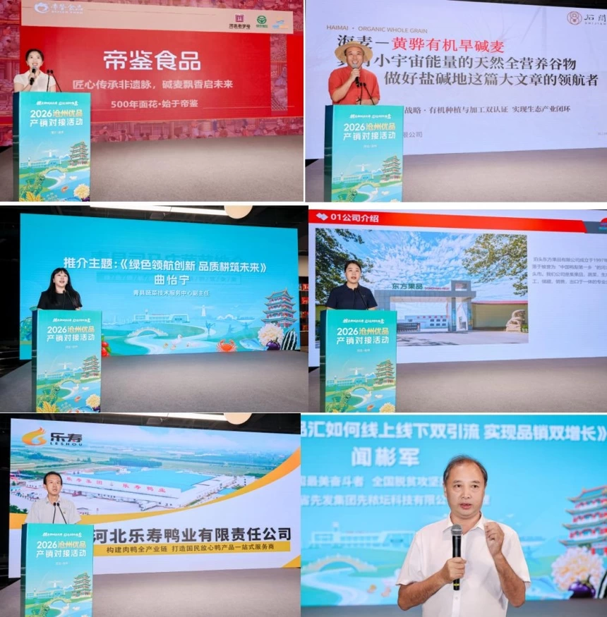 2026沧州优品产销对接系列活动盛大启幕(图9) 2026沧州优品产销对接系列活动盛大启幕(图9)