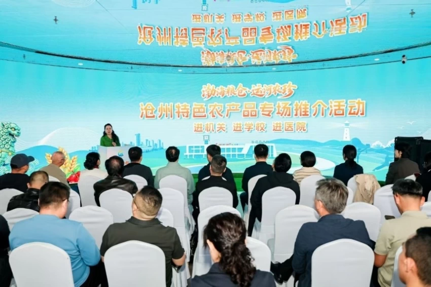 搭建京沧产销协作新桥梁——“渤海粮仓·运河农珍”专场推介在京举办(图3)