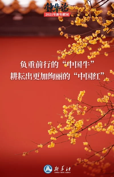 钟华论：新征程，我们再出发——2021年新年献词(图7)